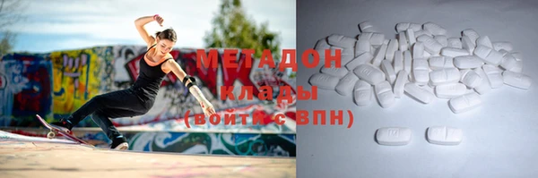 прущие грибы Абаза
