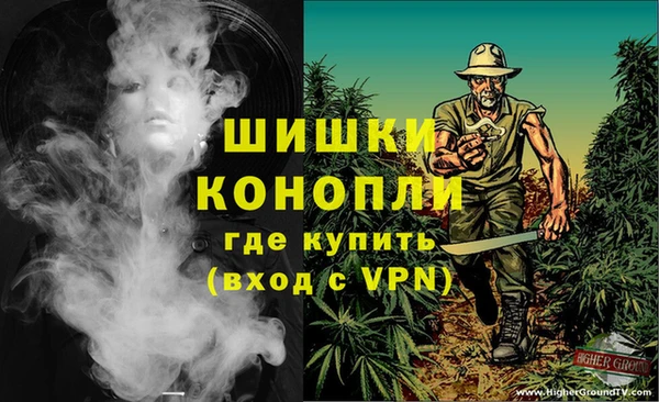 стафф Ростов