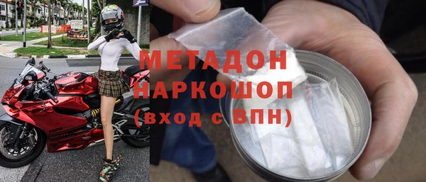 прущие грибы Абаза