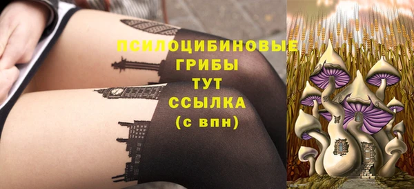 тгк Абдулино