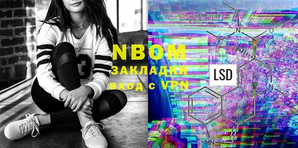 прущие грибы Абаза