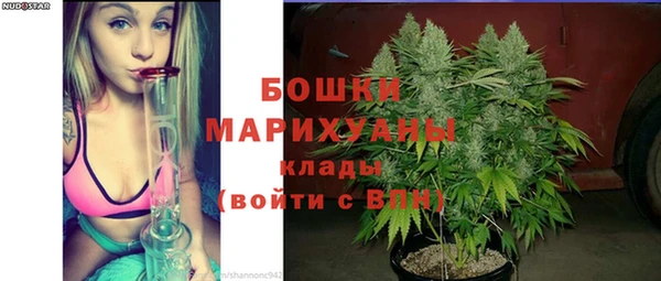 apvp Володарск