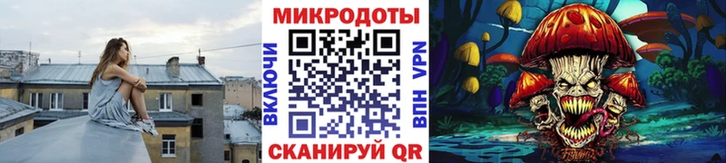 закладки  Ермолино  Псилоцибиновые грибы Magic Shrooms 